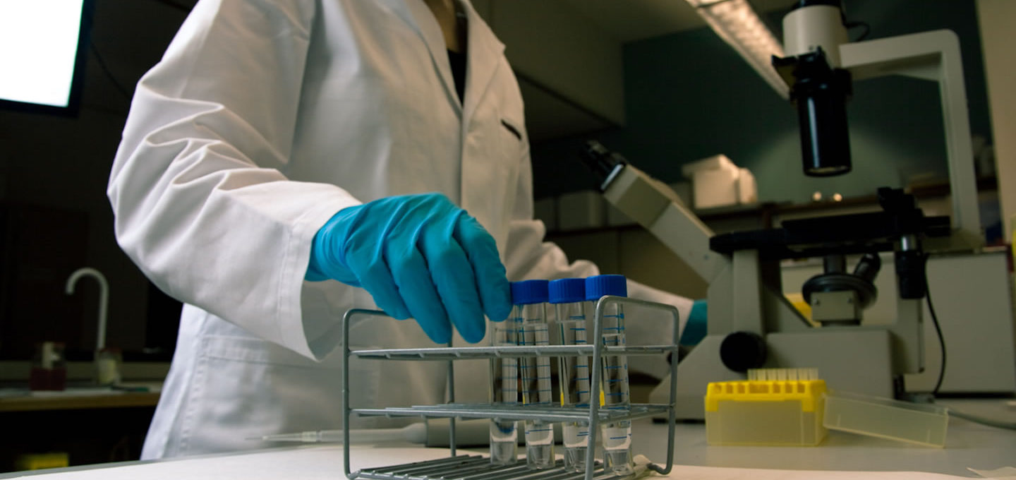 Lab